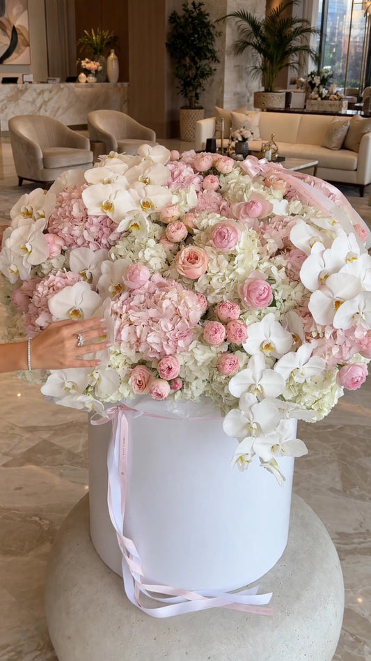 Pastel Luxe Oversized Box