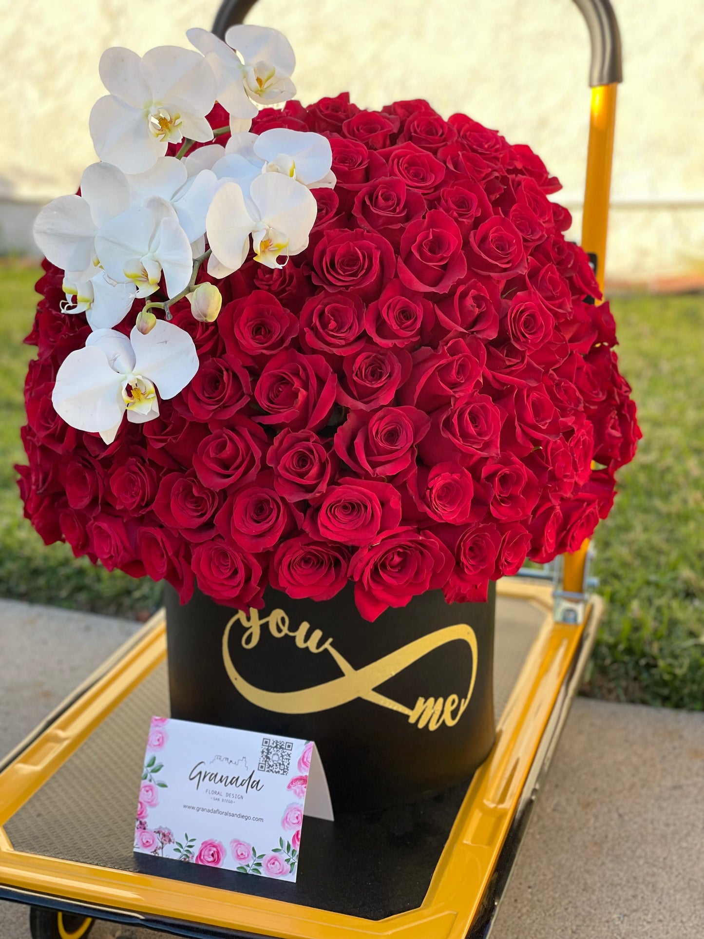 Cupula roses