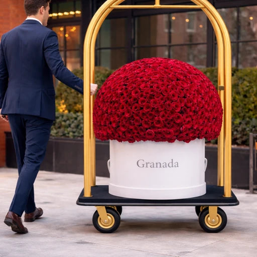 Dome fantastic jumbo box