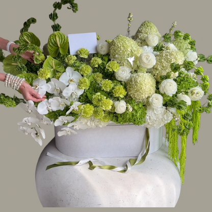 Signature Orchid Bloom Same-Day Flowers San Diego –