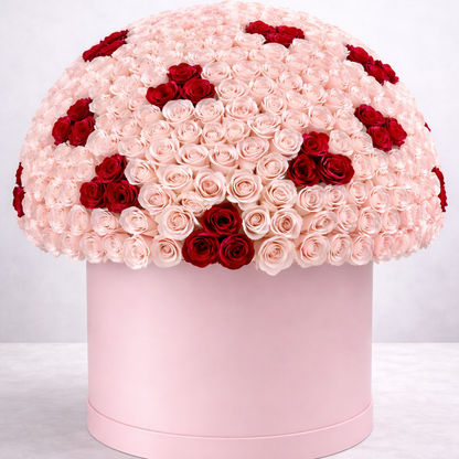 Pink and red rose arrangement in a pink box on a white background