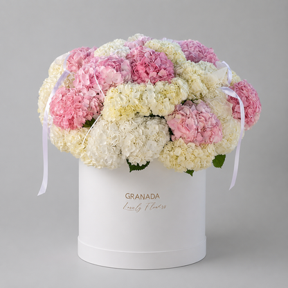 Granada Hydrangea Cloud Box — Blush & White