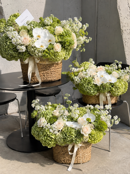 Garden Basket – Green Hydrangea, Rose & Orchid Arrangement