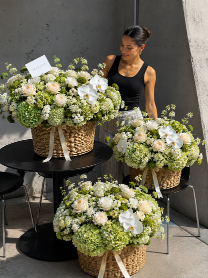Garden Basket – Green Hydrangea, Rose & Orchid Arrangement