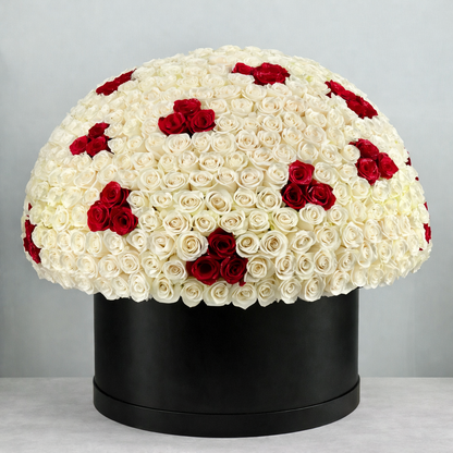 Luxury Dome Rose Box – Blush Pink & Red Roses | Granada Signature.
