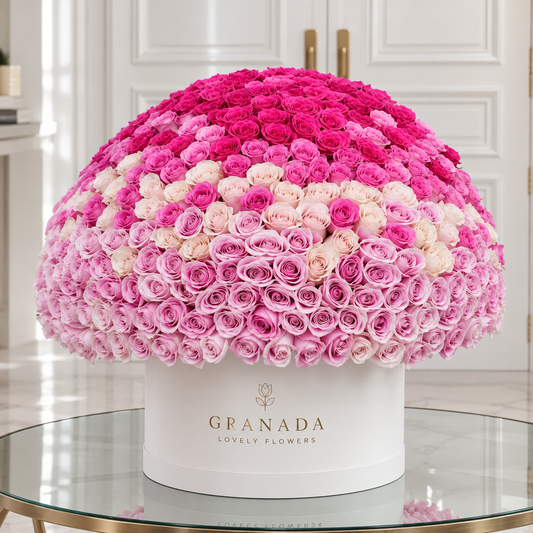 Ombré rose dome arrangement with gradient from fuchsia to blush pink roses in white Granada hatbox on glass table