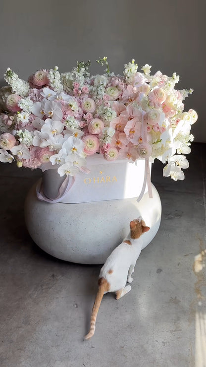 Signature Orchid Bloom Same-Day Flowers San Diego –