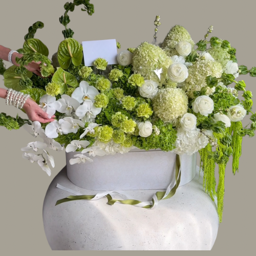 Signature Orchid Bloom Same-Day Flowers San Diego –