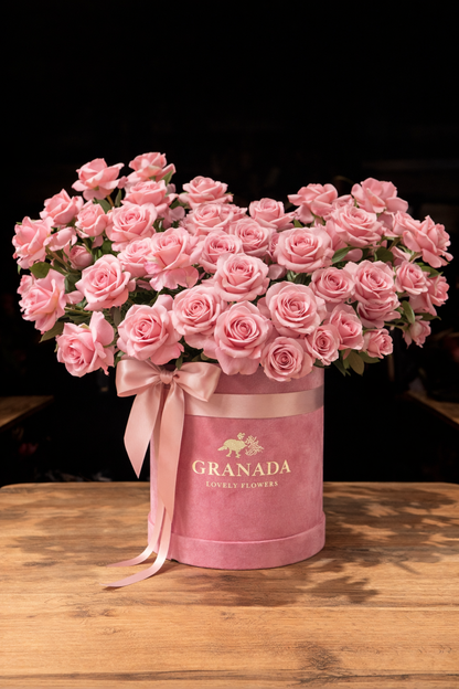 Blooming flowers in box