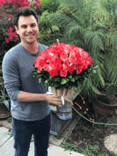 Floating roses in vase