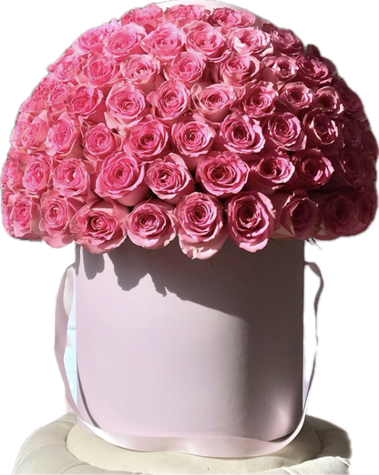 For you Box only roses