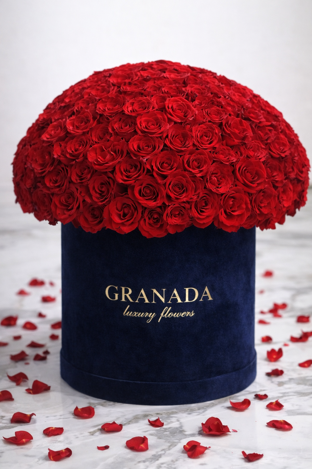 Navy blue box filled with red roses on a light background with scattered rose petals.