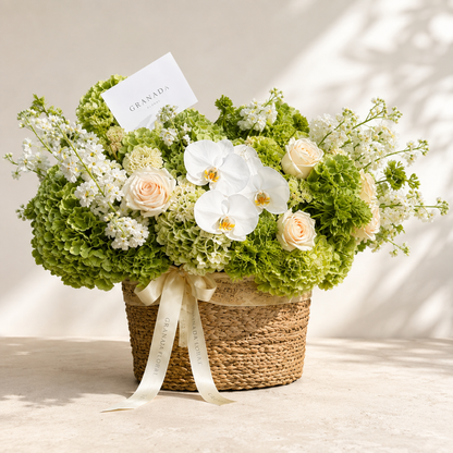 Garden Basket – Green Hydrangea, Rose & Orchid Arrangement