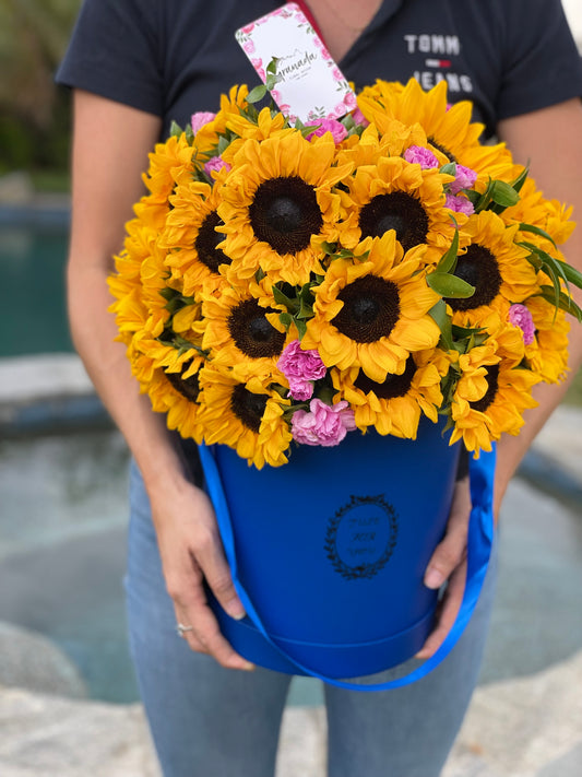 Sunflowers with carnations in box