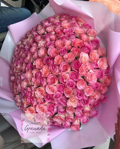 Copa of roses